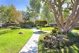 6520 Paseo El Greco - Photo 37