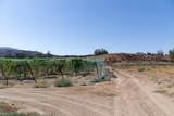 43900 Highway 79 - Photo 72