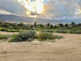 1 Sheri - Photo 6