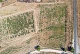 43900 Highway 79 - Photo 23