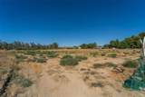 43900 Highway 79 - Photo 37
