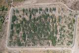 43900 Highway 79 - Photo 6