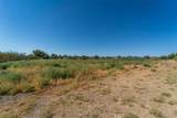 43900 Highway 79 - Photo 10