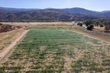 43900 Highway 79 - Photo 7