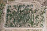 43900 Highway 79 - Photo 9