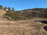 13723 Pauma Vista Dr - Photo 6