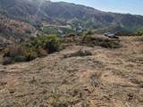 13723 Pauma Vista Dr - Photo 9