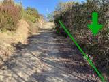13701 Pauma Vista Dr - Photo 15