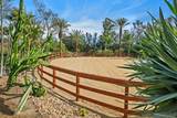 16337 Los Arboles - Photo 10