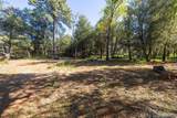 3131 Pera Alta Dr - Photo 60