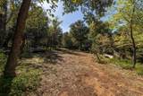 3131 Pera Alta Dr - Photo 62