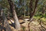 3131 Pera Alta Dr - Photo 63