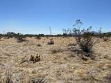 Borrego Springs Rd - Photo 7