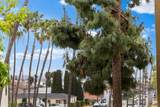 4600 Lamont St - Photo 20