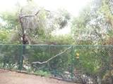 1317 Caminito Gabaldon - Photo 17