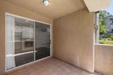 3505 Caminito El Rincon - Photo 20