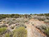 0 Shasta Way - Photo 2
