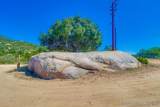 20625 Tumeric Way - Photo 21