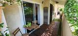 368 Vance St - Photo 16