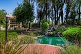 12093 Caminito Campana - Photo 24