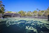 2251 Paseo Saucedal - Photo 41