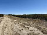  Mcconamara Drive - Photo 14