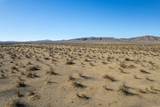 0 Panamint Trl - Photo 15