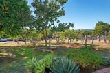 1322 Loma De Paz - Photo 63