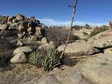 0000 In-Ko-Pah Park Rd - Photo 13