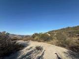 12494 Buena Vida Rd - Photo 3