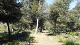 000 Toyon Mountain Ln - Photo 1
