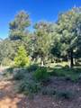 000 Toyon Mountain Ln - Photo 12