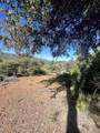 000 Toyon Mountain Ln - Photo 14