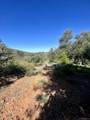 000 Toyon Mountain Ln - Photo 17