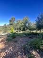 000 Toyon Mountain Ln - Photo 18
