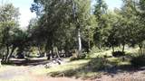 000 Toyon Mountain Ln - Photo 3