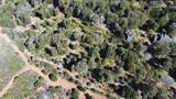 000 Toyon Mountain Ln - Photo 5