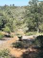 000 Toyon Mountain Ln - Photo 10