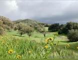 0000 Tule Springs Road - Photo 6