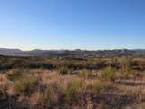 1127 Calle Loreto - Photo 5