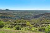 8737 Via Rancho Cielo - Photo 4