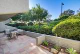 5580 Caminito Consuelo - Photo 38