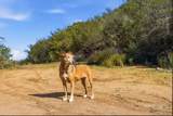 0 Mussey Grade Rd - Photo 35