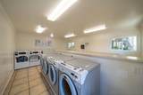 3625 Ash - Photo 14