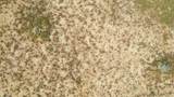 0 Brucite Rd - Photo 20