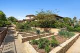 6565 Calle Reina - Photo 30