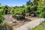 6565 Calle Reina - Photo 31