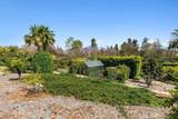 6565 Calle Reina - Photo 32