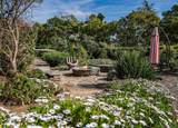 6565 Calle Reina - Photo 33