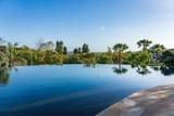 6565 Calle Reina - Photo 8